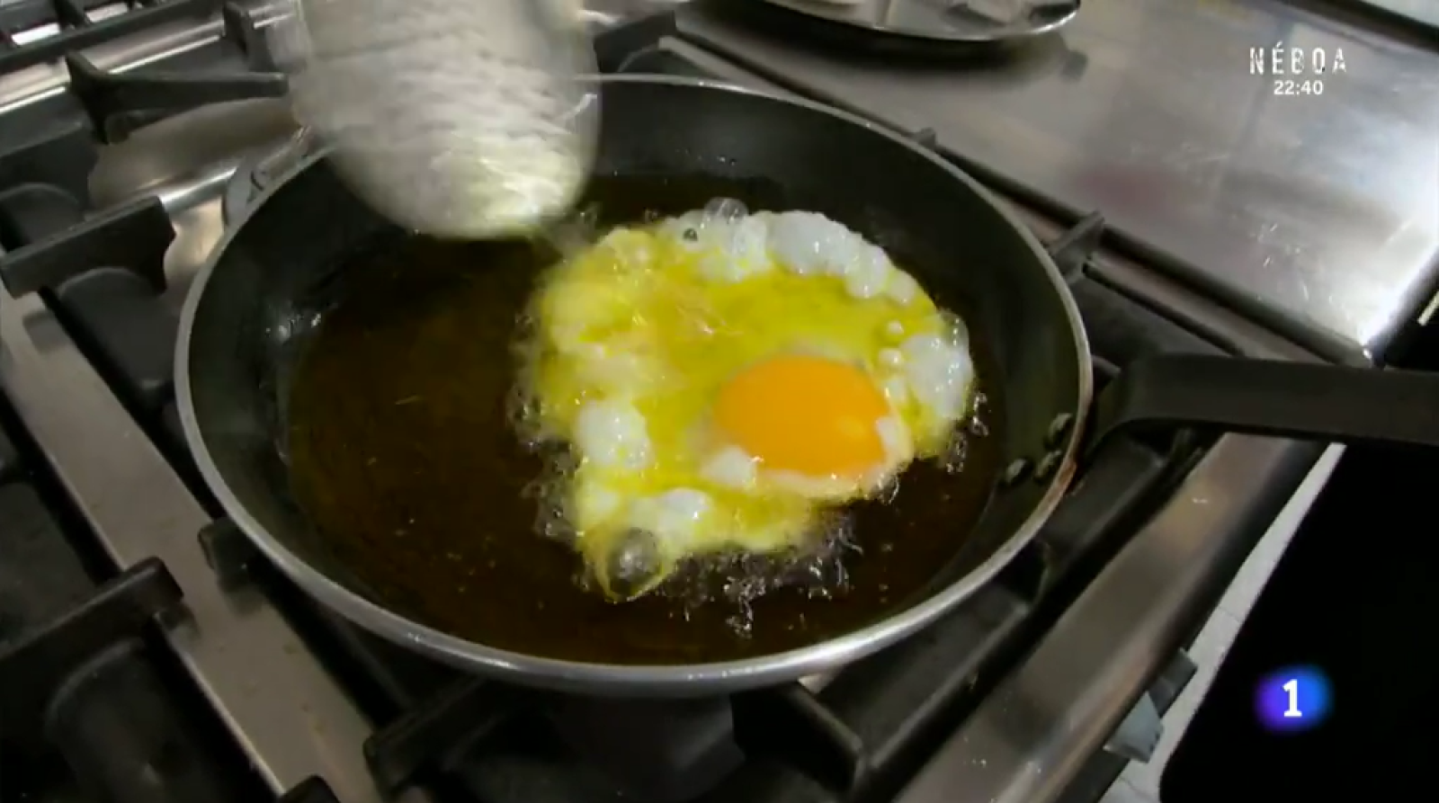 La cosa va de huevos - Aquí la Tierra | Ver