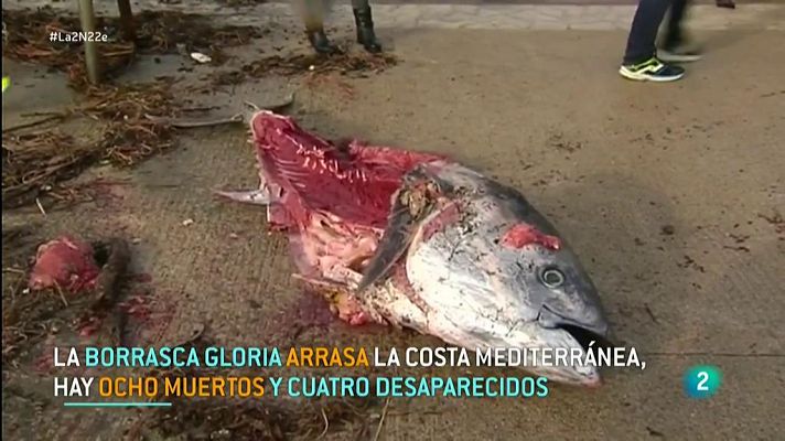 La borrasca Gloria, el peor temporal de los últimos años