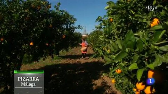 Aquí la Tierra - De la naranja se aprovecha TO-DO