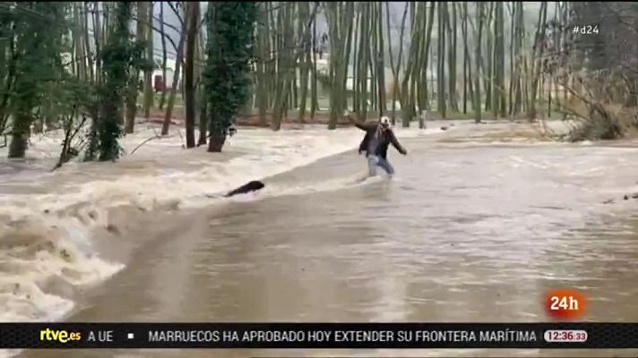 Informativo 24h - Un perro arrastrado por el Ter por la imprudencia de su dueño