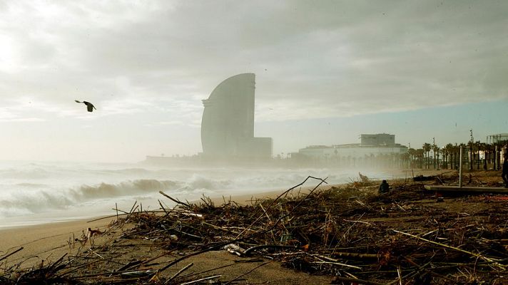 Telediario 1 - Telediario 1 en 4' - 23/01/20