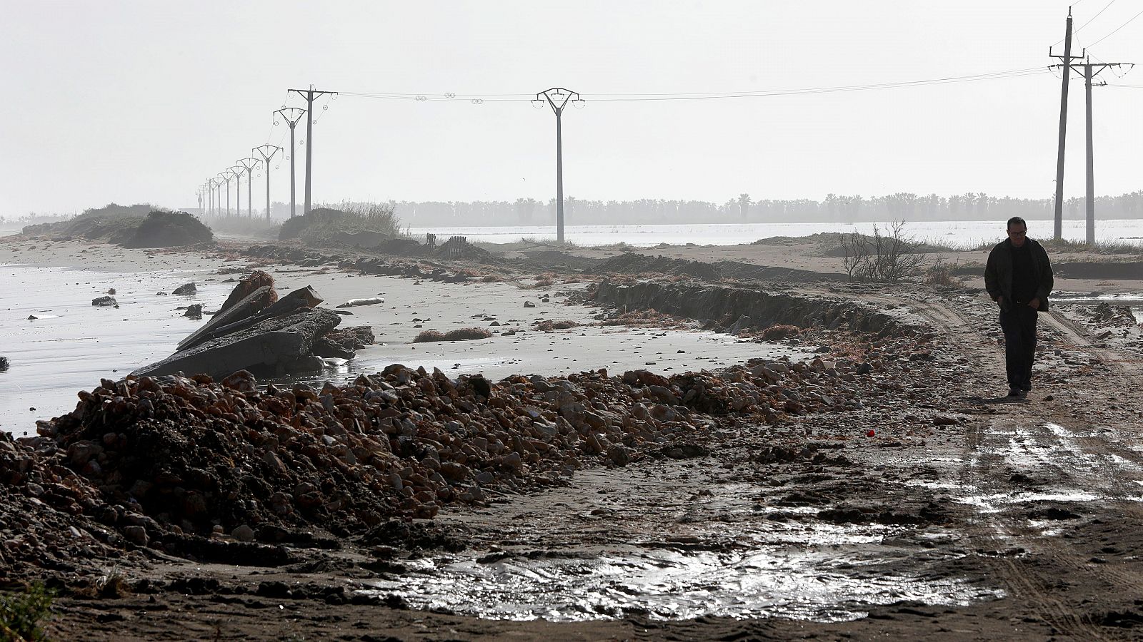 Telediario 1: Piden la declaración de zona catastrófica para el Delta del Ebro | RTVE Play