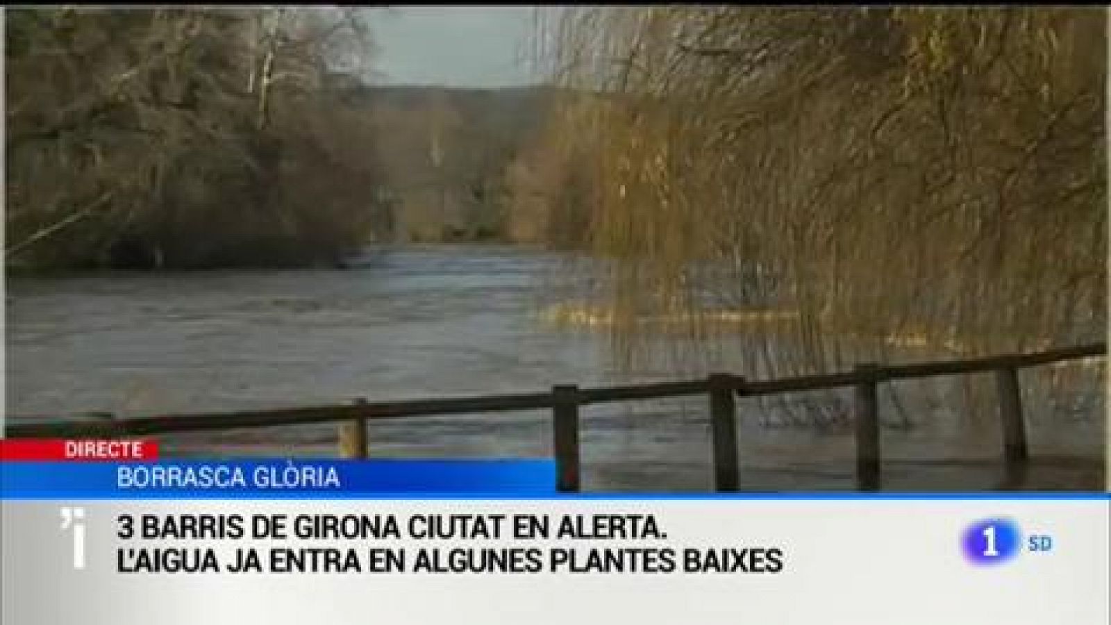L'Informatiu | Sumari de les notícies del 23/01/2020 - RTVE.es