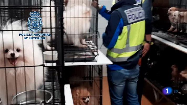 Informativo de Madrid - Informativo de Madrid 2 - 23/01/20