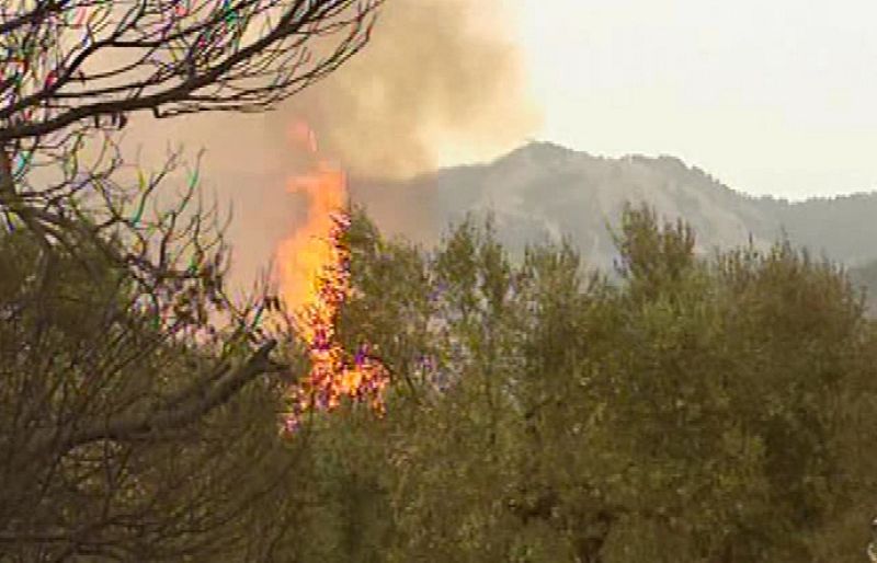 Los equipos de extinción trabajan contrarreloj para controlar el incendio de Tarragona.