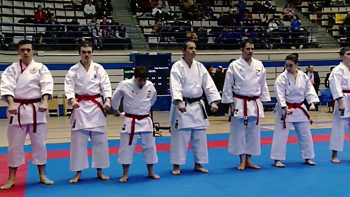 Kárate - Campeonato de España absoluto. Resumen