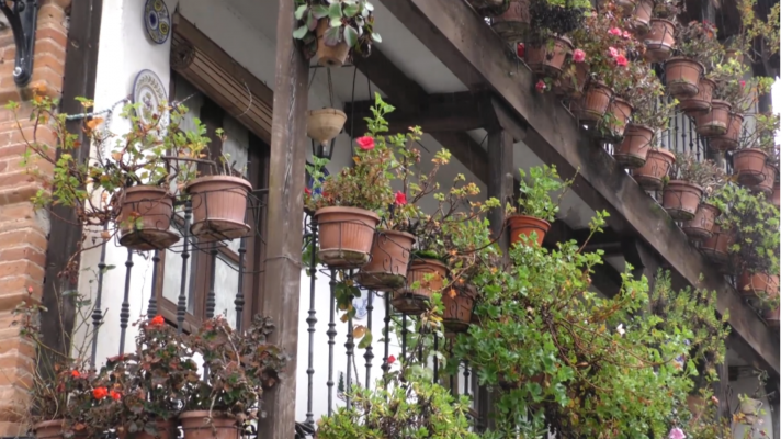 Saber vivir - Candeleda, Ávila