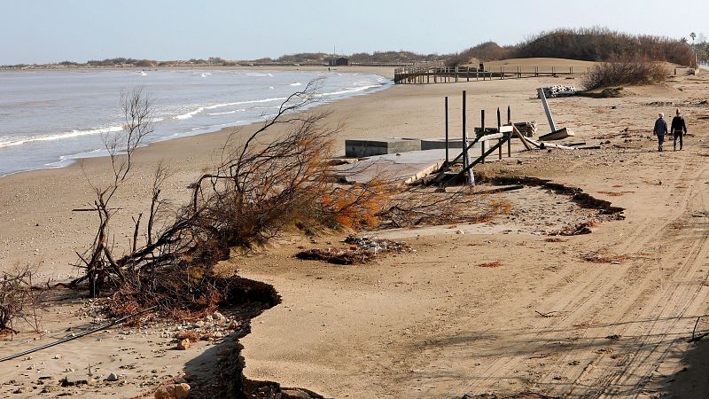 La borrasca Gloria ha causado daños materiales pero también ha golpeado con dureza los ecosistemas costeros.. Muchos pueden tardar hasta una década en recuperarse. Por eso, dicen los expertos, es urgente actuar y además es el momento de pensar en los