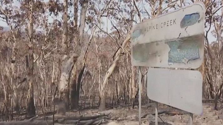 Viralidad, incendios en Australia; emprender con redM