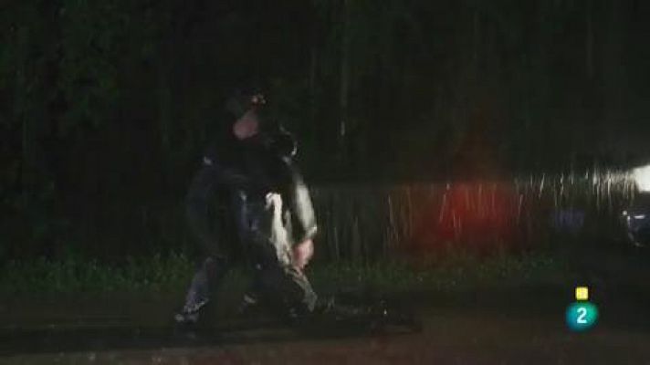 Días de cine - 'El lado del ganso salvaje'