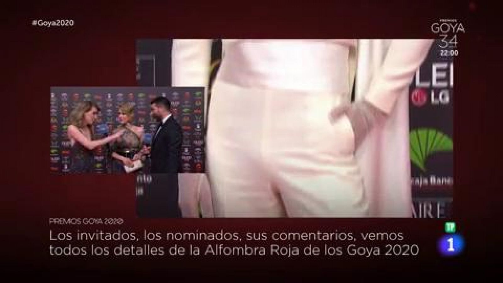 Goya 2020 - Silvia Abascal la más elegante de la alfombra roja - RTVE.es