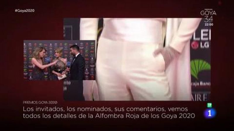 Goya 2020 - Silvia Abascal la ms elegante de la alfombra roja - RTVE.es | Ver