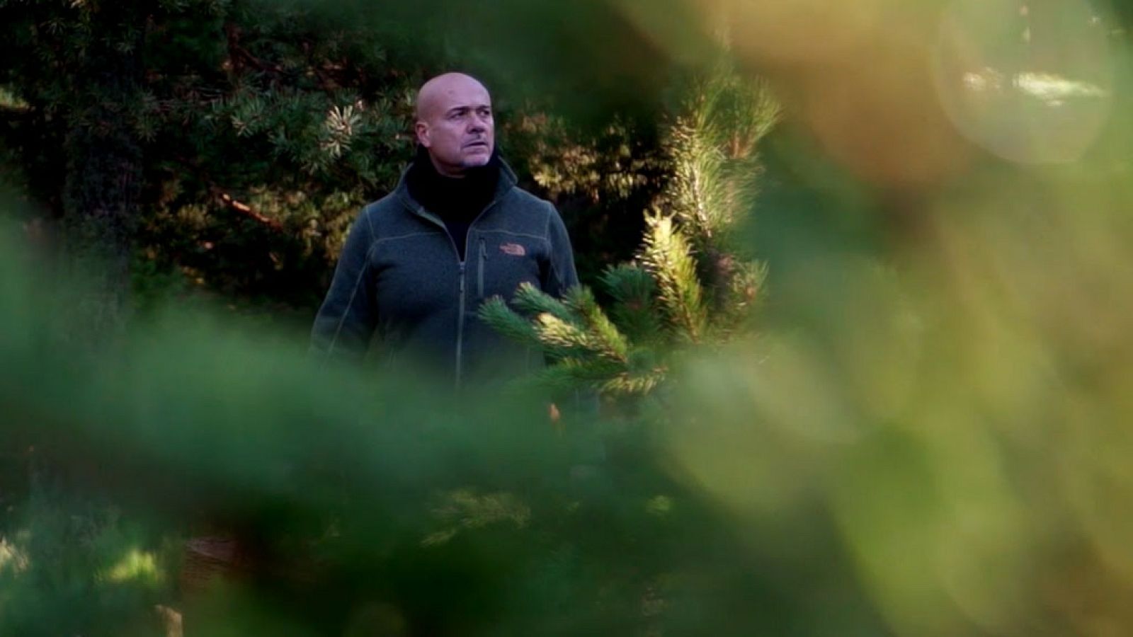 El señor de los bosques - Parque de Ubiñas (Asturias) - ver ahora