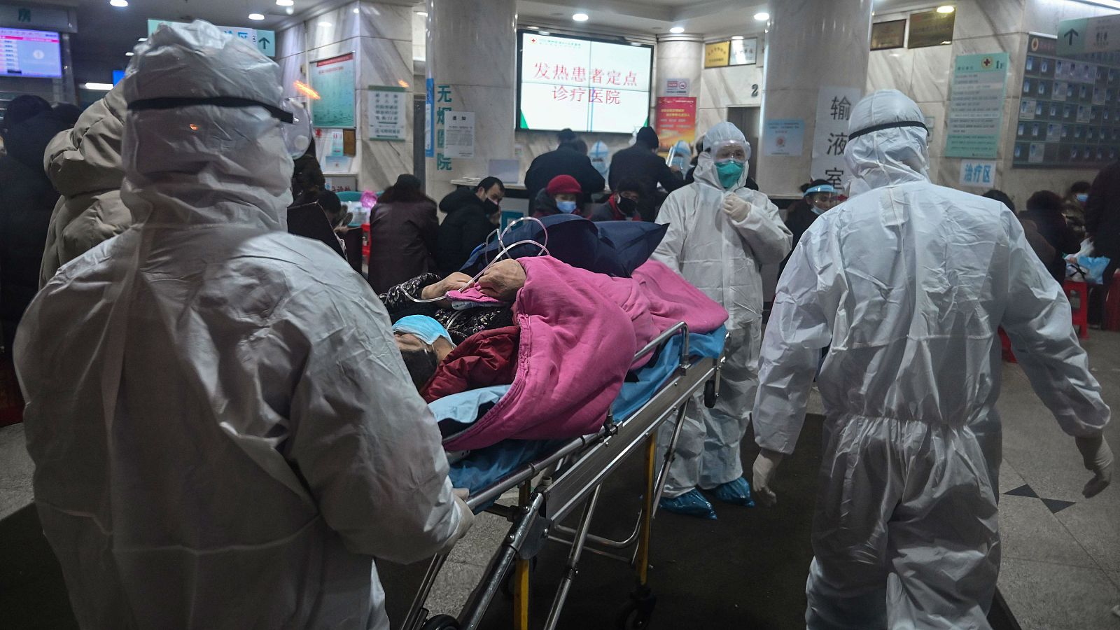 Las fábricas chinas no consiguen satisfacer la demanda de monos bacteriológicos 