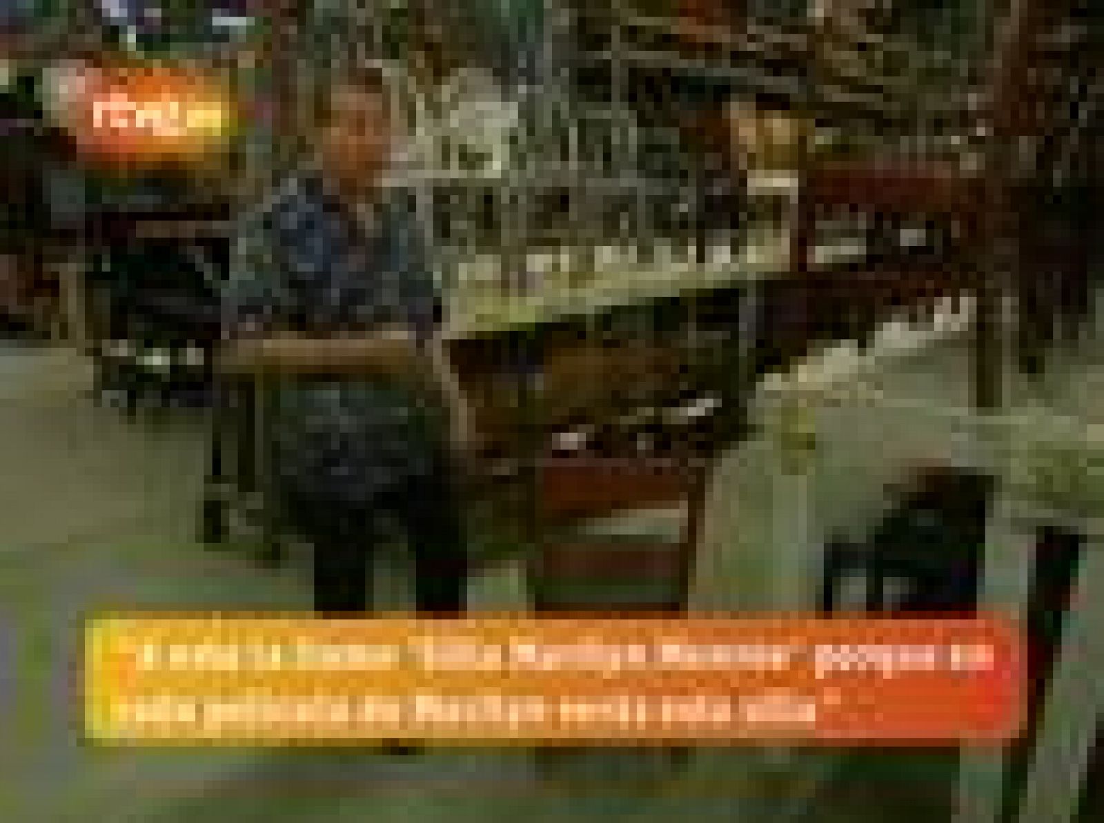 La crisis también se nota en Hollywood