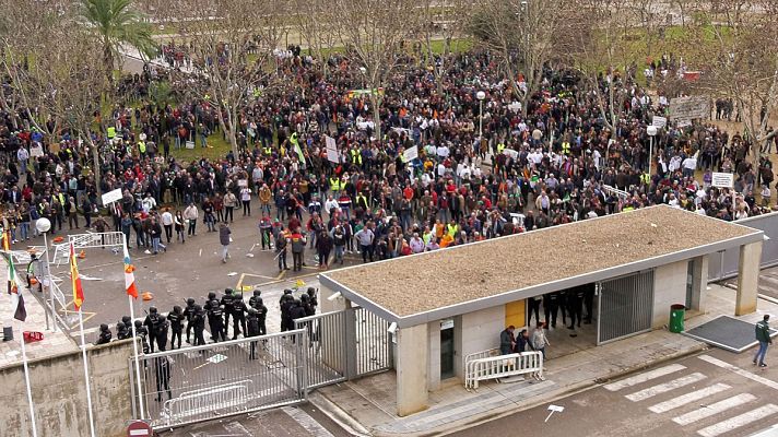 Telediario 1 - Miles de personas se concentran en Don Benito para pedir precios justos en el campo