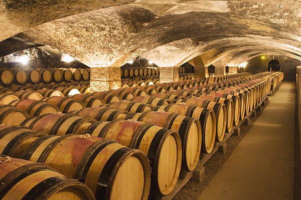 Visita inclusiva a una bodega en Álava