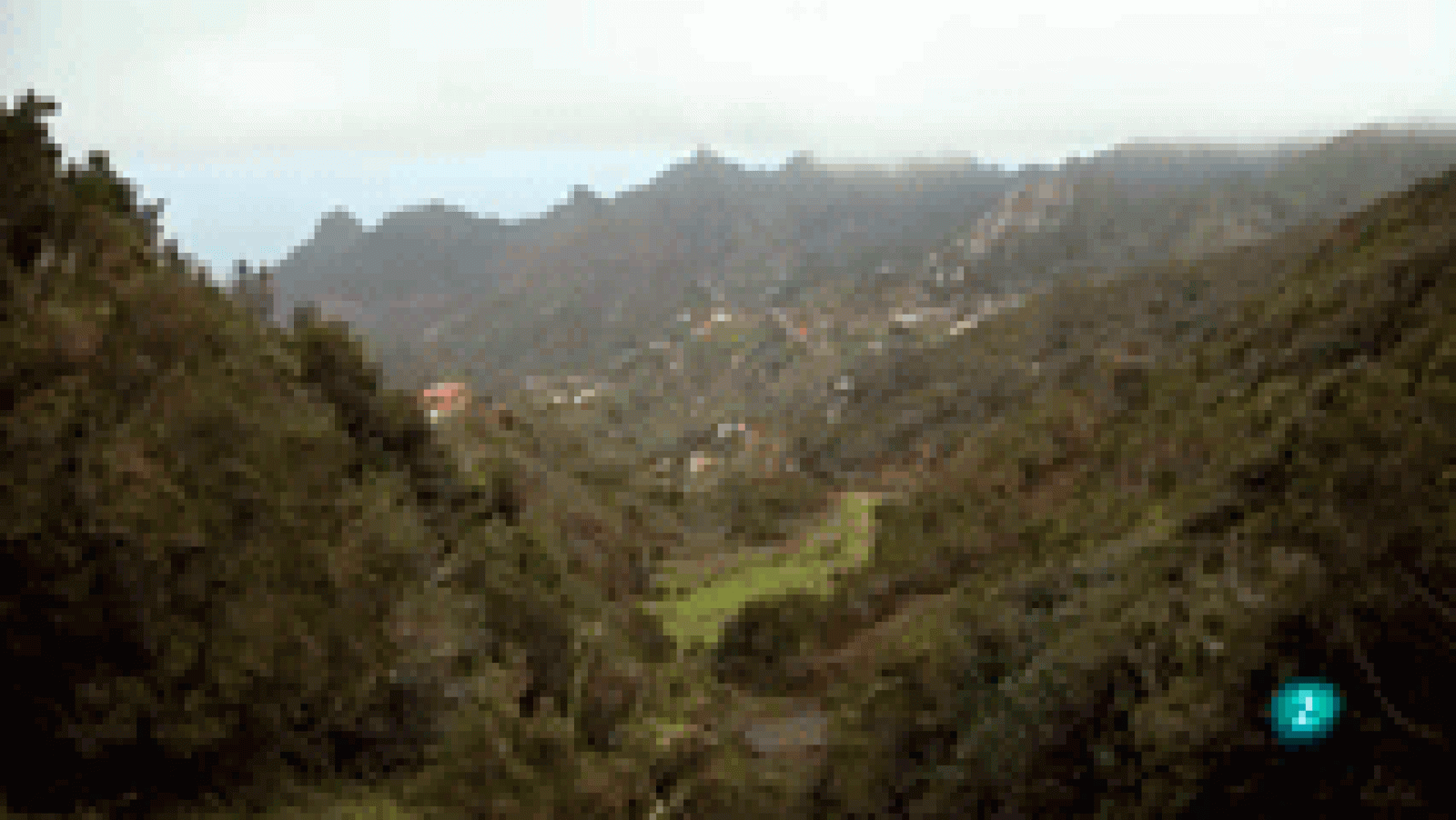 La aventura del Saber: La biodiversidad de Tenerife amenazada por las cabras | RTVE Play