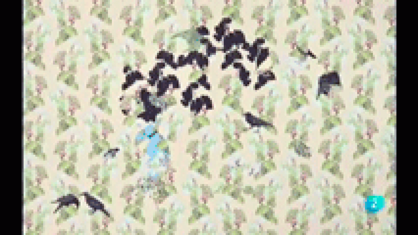 La aventura del saber Boek visual: Estefanía Martín Saénz el universo femenino y sus emociones