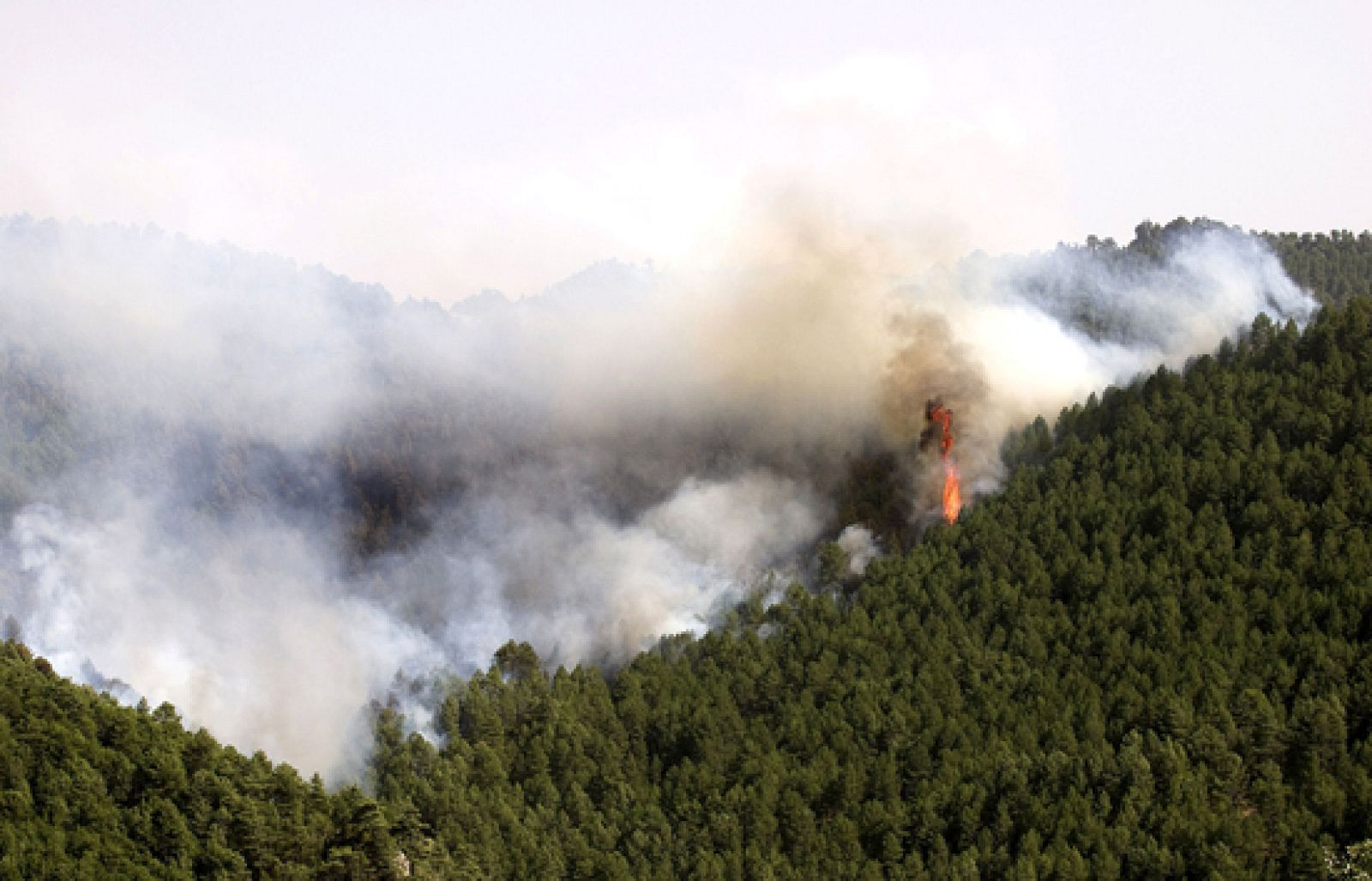Los incendios de la sierra de Cuenca han quemado 3.000 hectáreas