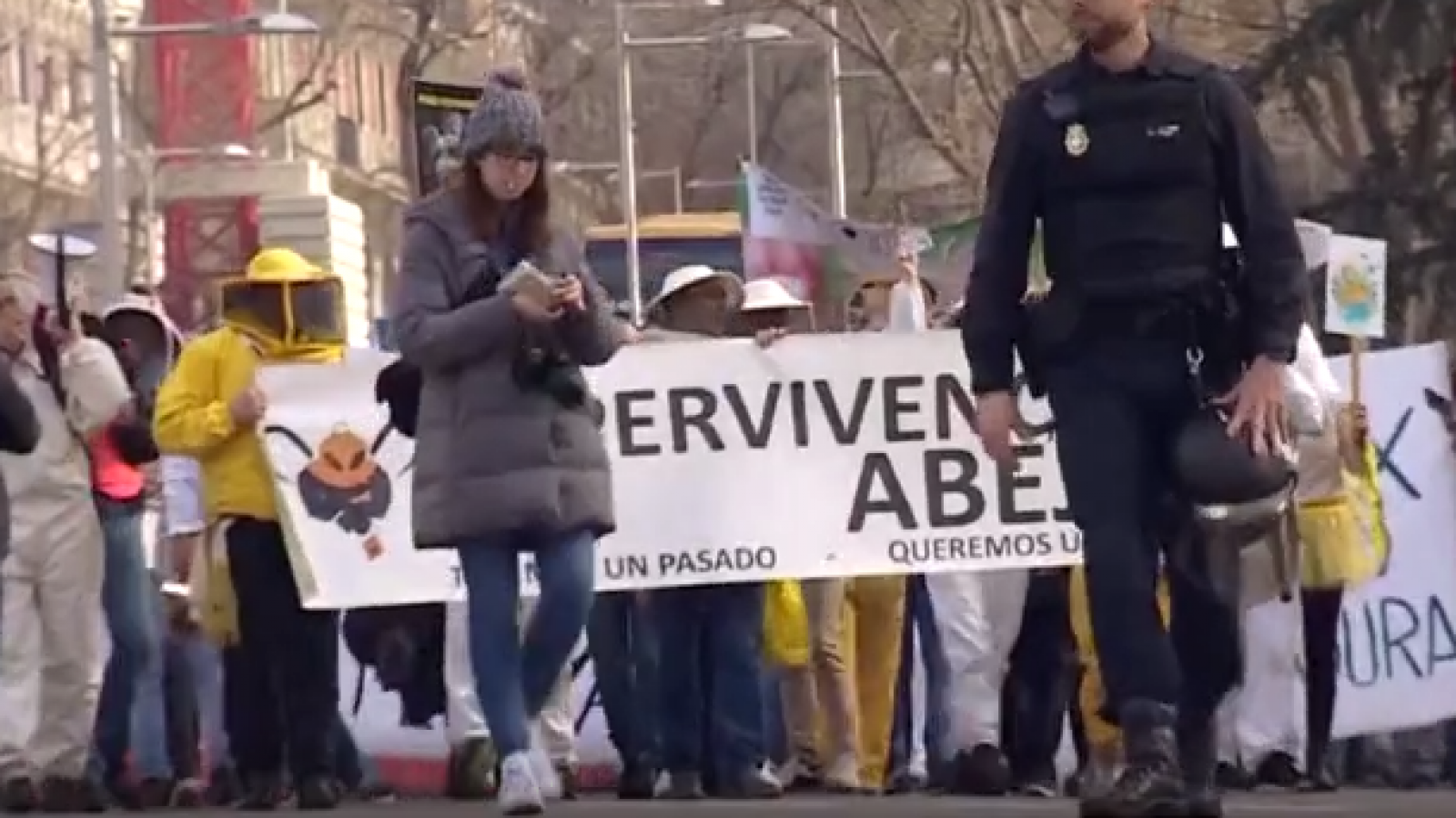 Apicultores de toda España se manifiestan en defensa de las abejas y su miel - RTVE.es