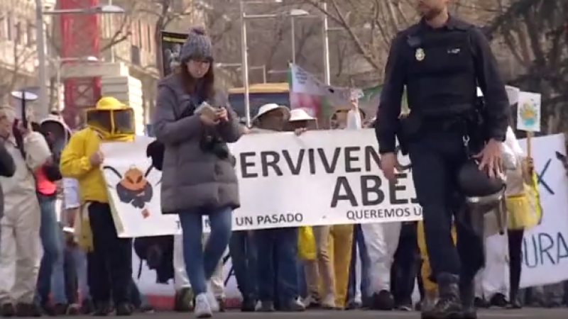 Manifestación en defensa de las abejas y su miel