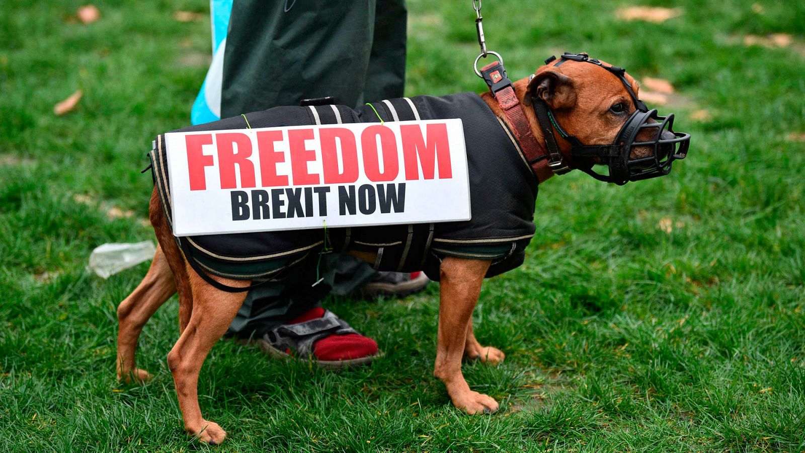 Boston es la ciudad más partidaria del 'Brexit' de todo el Reino Unido