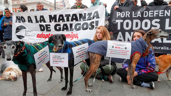 Miles de personas salen a la calle en toda España para pedir una ley que proteja a los perros de caza