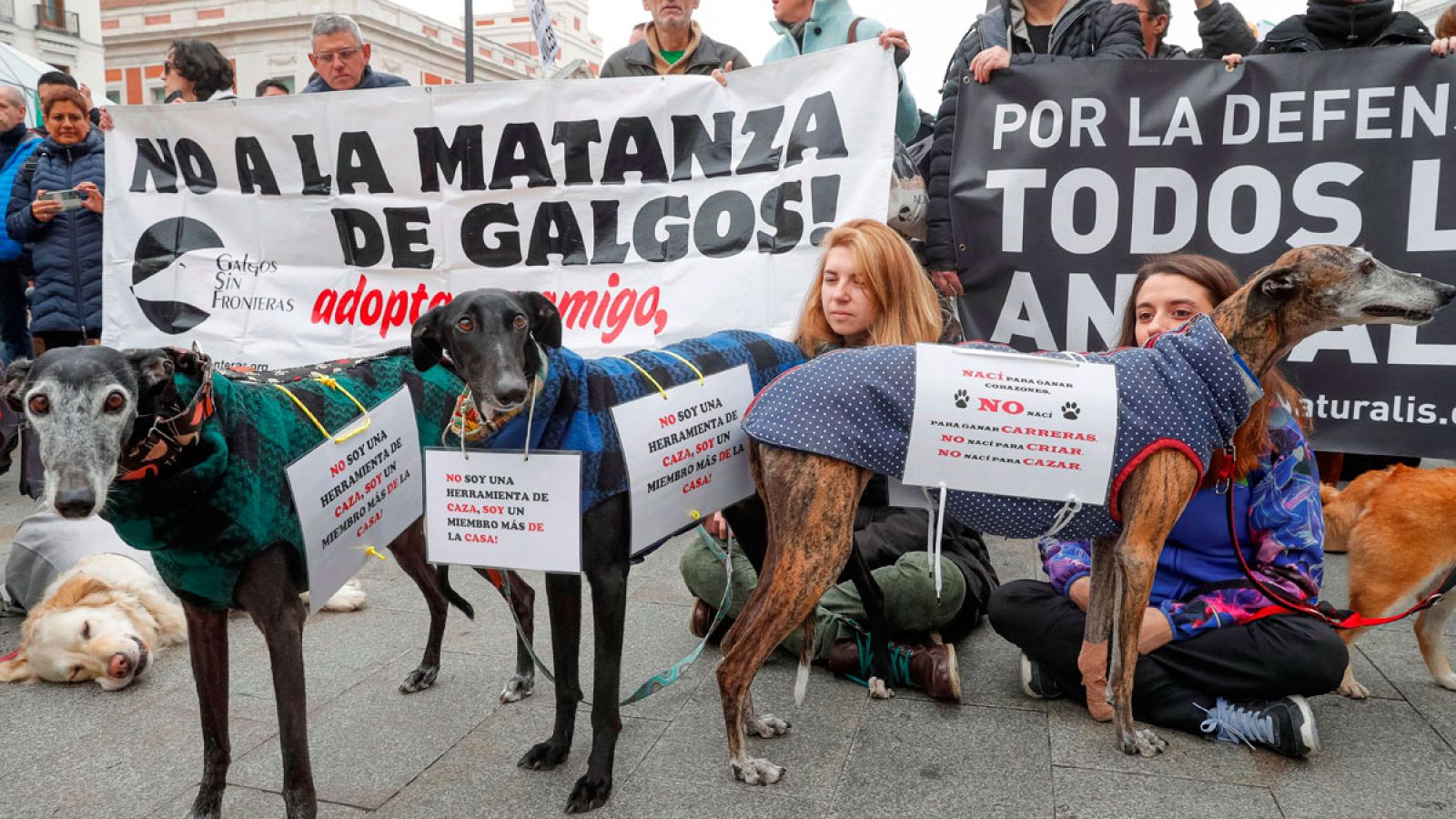 Miles de personas salen a la calle en toda España para pedir una ley que proteja a los perros de caza
