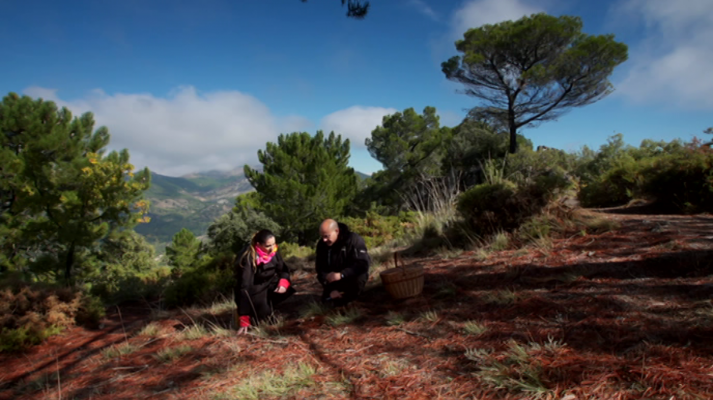 Sierra de Huetor (Granada)