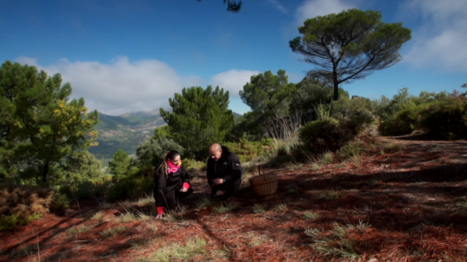 El señor de los bosques - Sierra de Huetor (Granada) - ver ahora