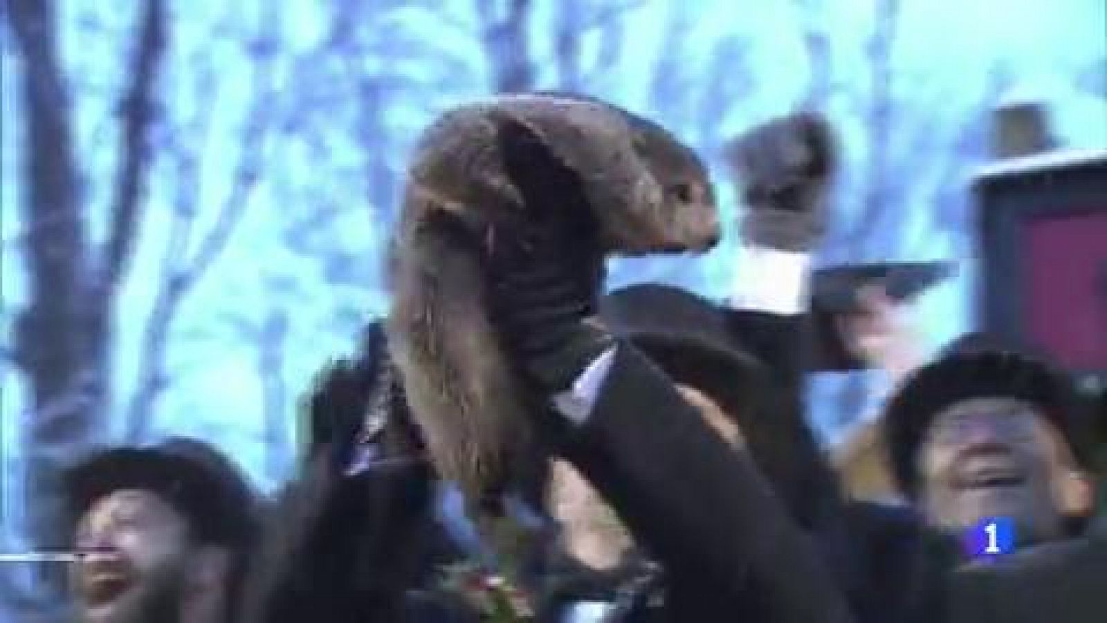 Celebrando el día de la marmota - RTVE.es