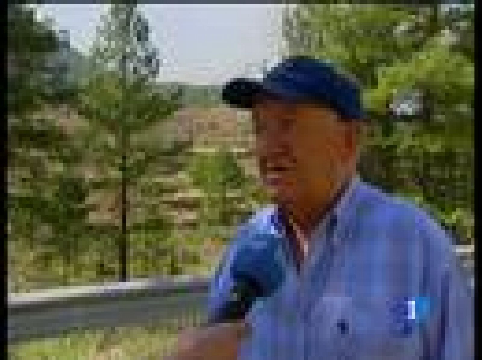 En la provincia de Teruel siguen activos cuatro incendios | Ver