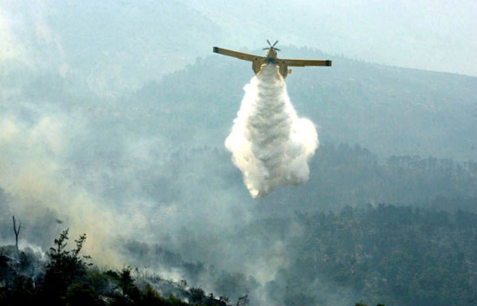 No obstante, el fuego sigue avanzando.