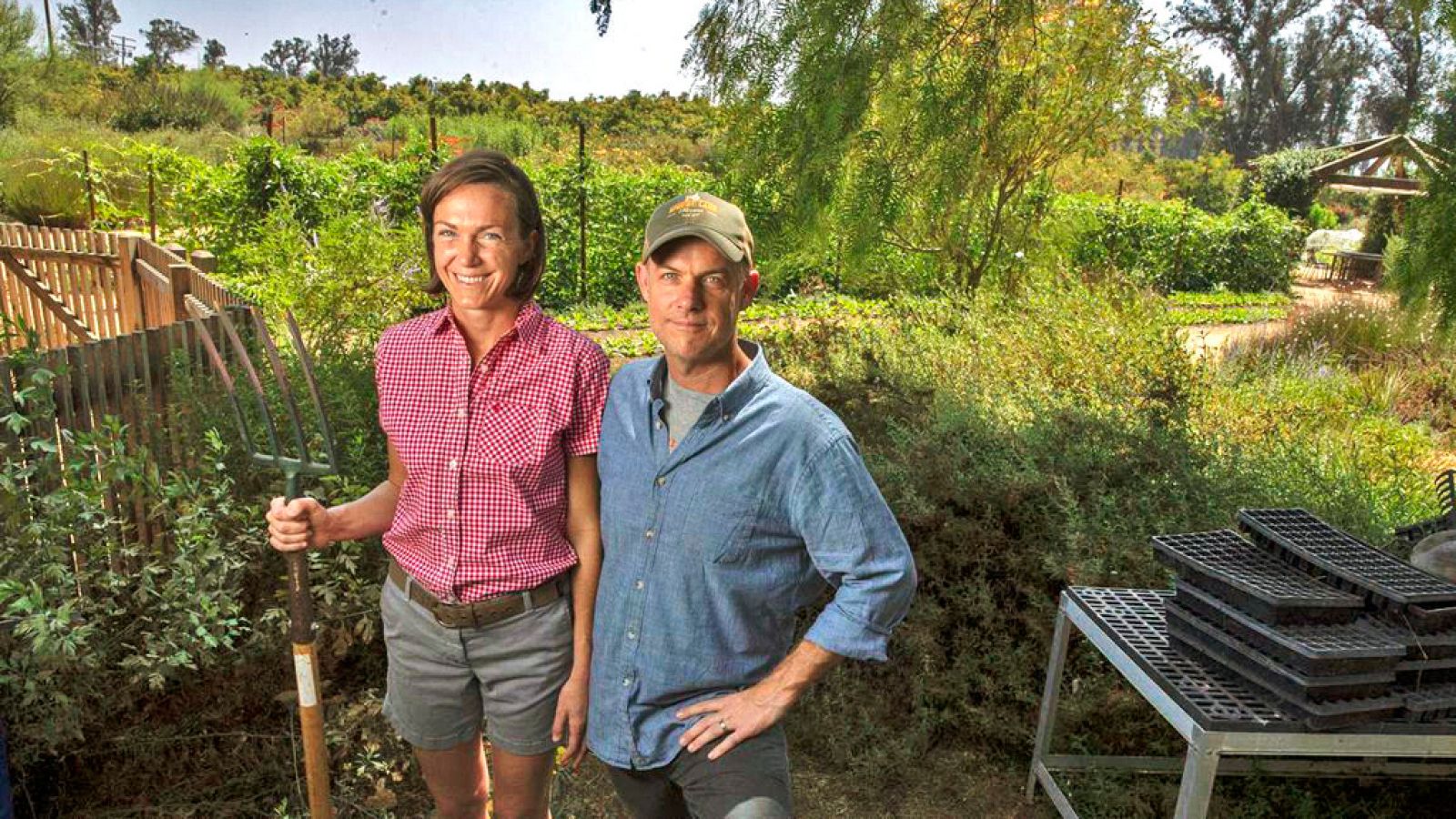 'Mi gran pequeña granja'