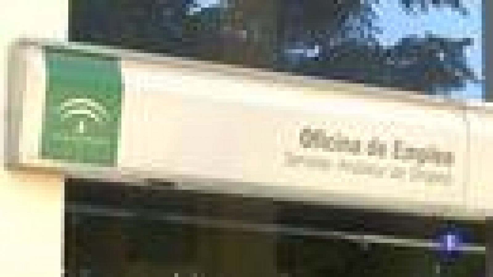 Andalucía en 2' - 4/2/2020 | Ver