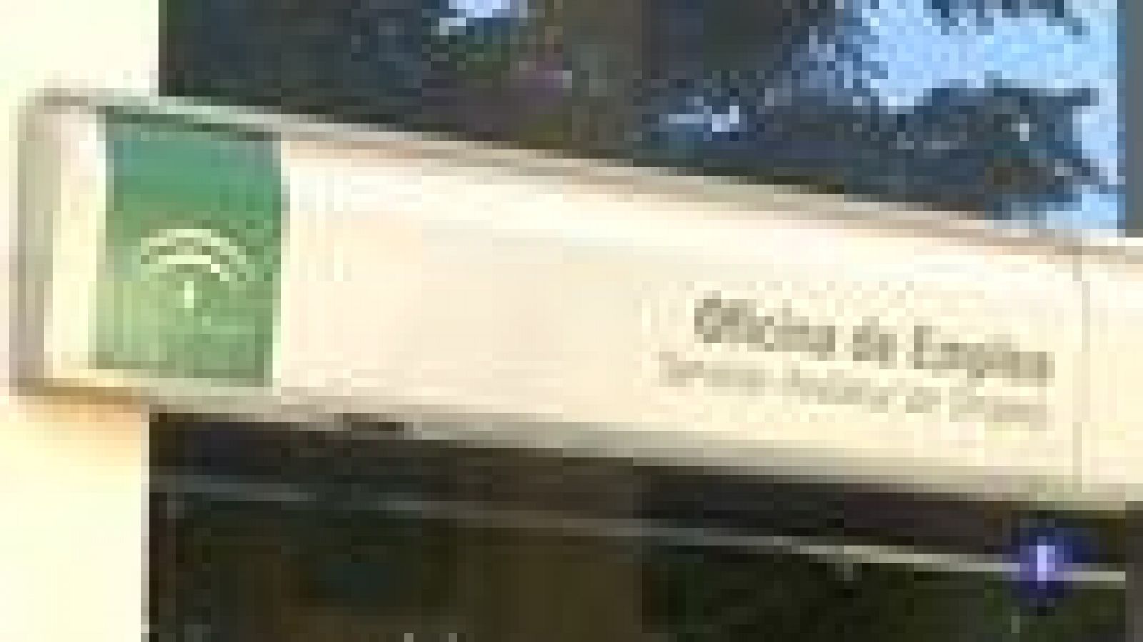 Noticias Andalucía 2 - 04/02/2020 | Ver