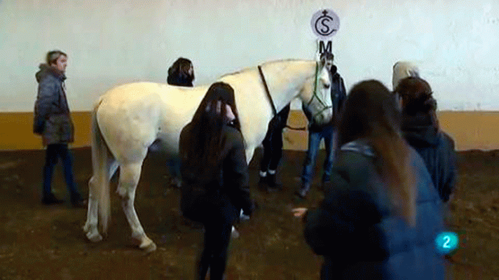 La aventura del Saber - Caballos que educan