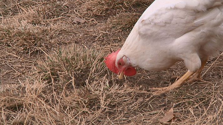 Aquí la Tierra - Aquí la Tierra - 04/02/20