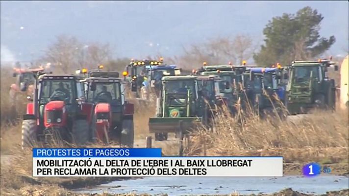 L'Informatiu - L'Informatiu -  05/02/2020