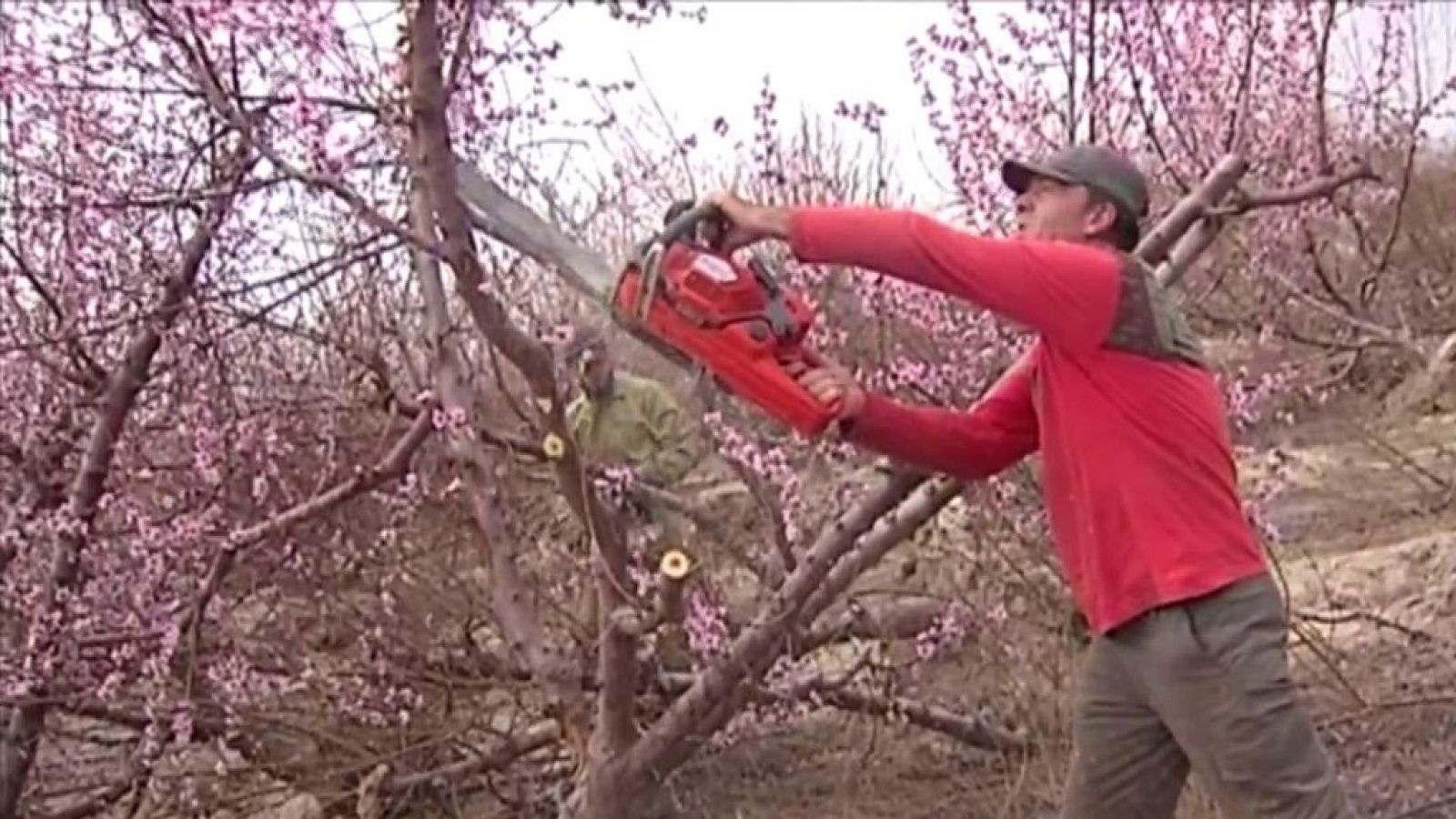 La Comunidad Valenciana en 2' - 05/02/20 - ver ahora