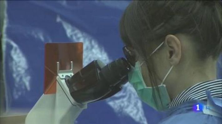 L'Informatiu - L'Informatiu 2 - 5/02/2020