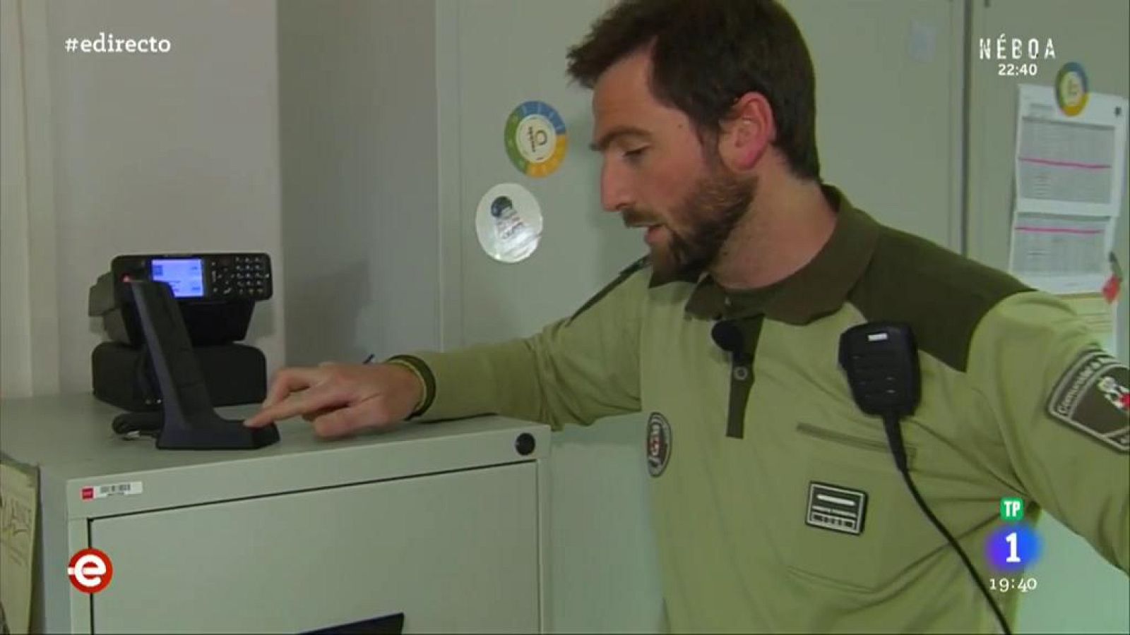 Protocolo para evitar la expansión de las plantas invasoras - España Directo | Ver