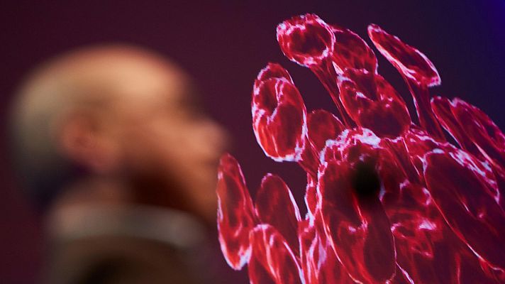 Telediario 1 - El coronavirus altera el calendario deportivo mundial