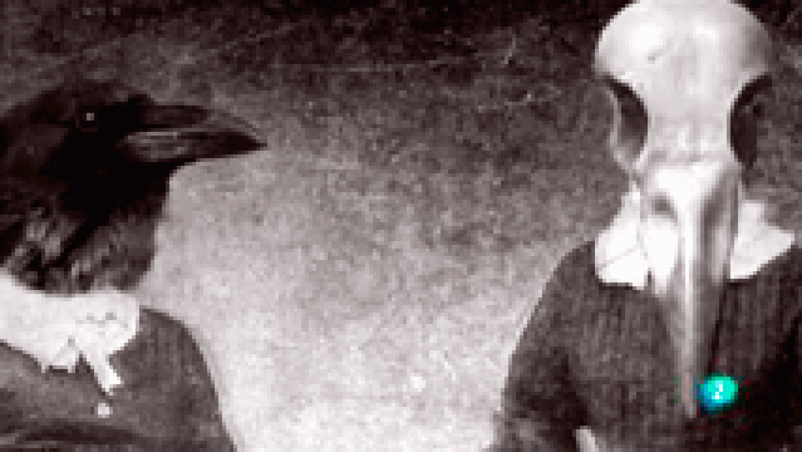 Boek visual: Lola González Poesía Visual La aventura del saber