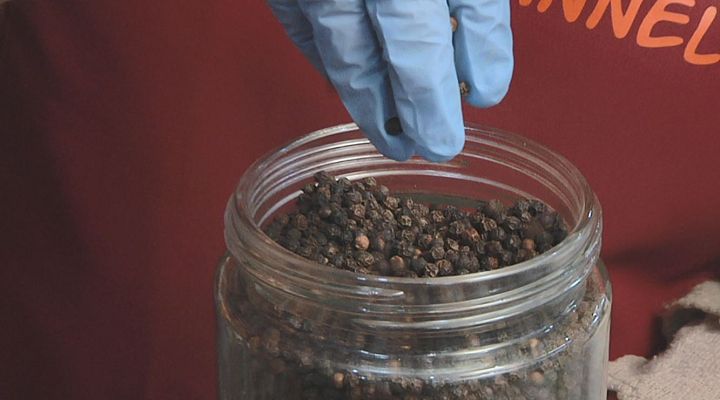 Aquí la Tierra - Las especias en el mundo y el mundo en las especias