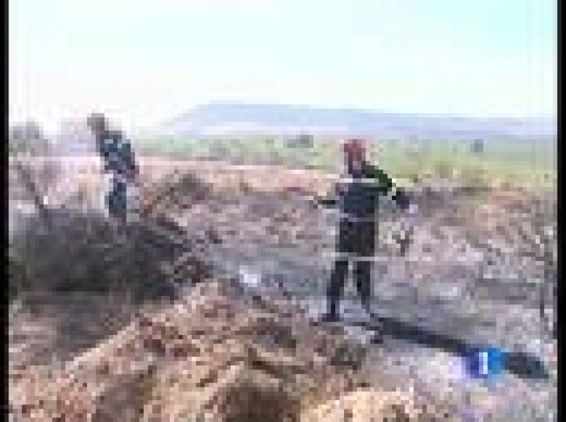 Sin programa: sin control el fuego en teruel | rtve play