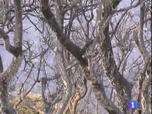 Noticias Aragón - Noticias Aragón - 24/07/09