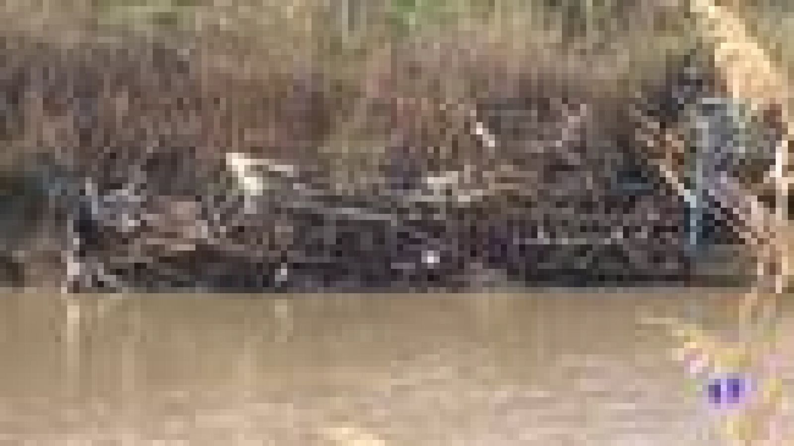 Noticias Andalucía - 07/02/2020 | Ver