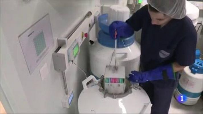Telediario 1 - ¿Debe ser anónima la donación en la reproducción asistida?